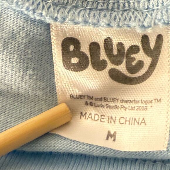 Bluey Blue and Yellow Short Sleeve Tee size Medium - Picture 4 of 7